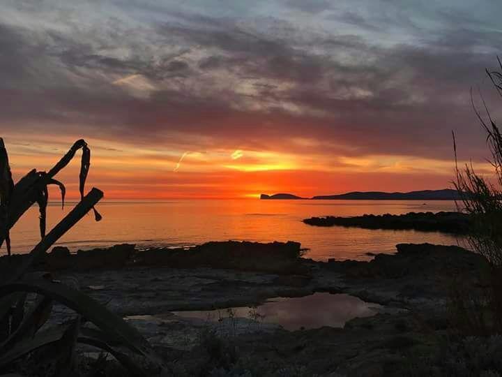 Apartament Il Tramonto Balaguer Alghero Zewnętrze zdjęcie